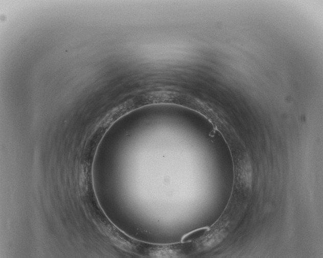 X0000073710759200608101839