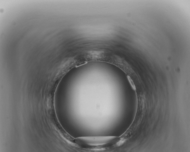 X0000073710760200608101839