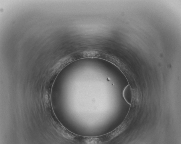 X0000073710761200608101839