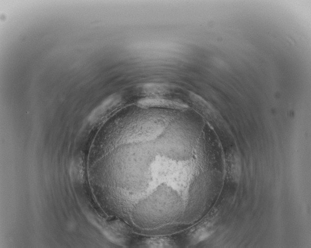 X0000073710762200608101839