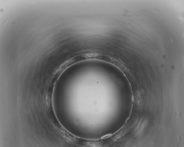 X0000073710763200608101839