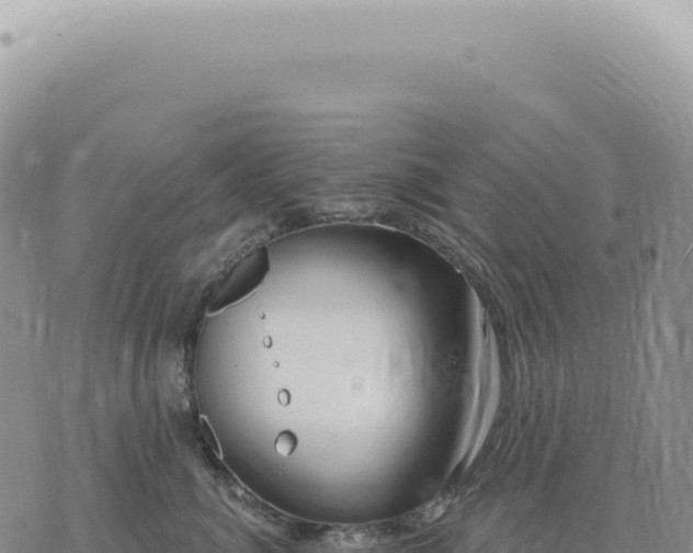 X0000073710764200608101839