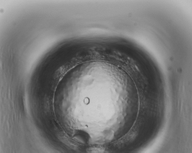 X0000073710765200608101839