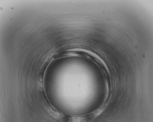 X0000073710766200608101839