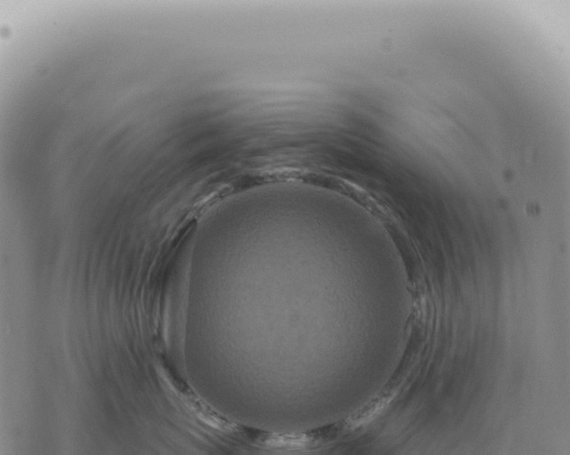 X0000073710767200608101839