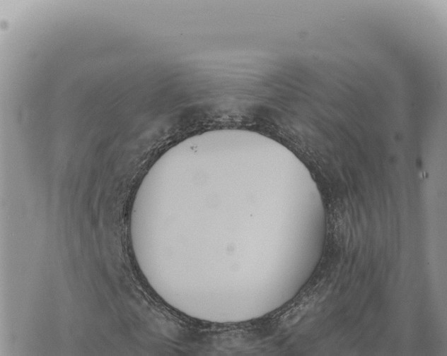 X0000073710769200608101838