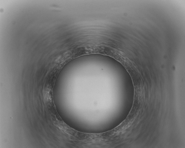 X0000073710770200608101838