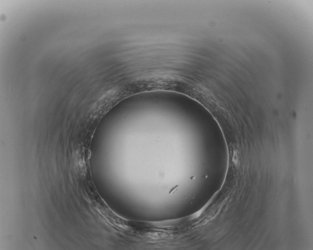 X0000073710771200608101838