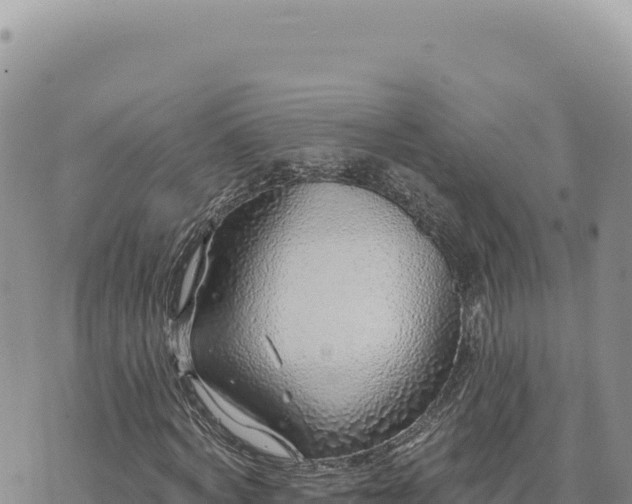 X0000073710772200608101838