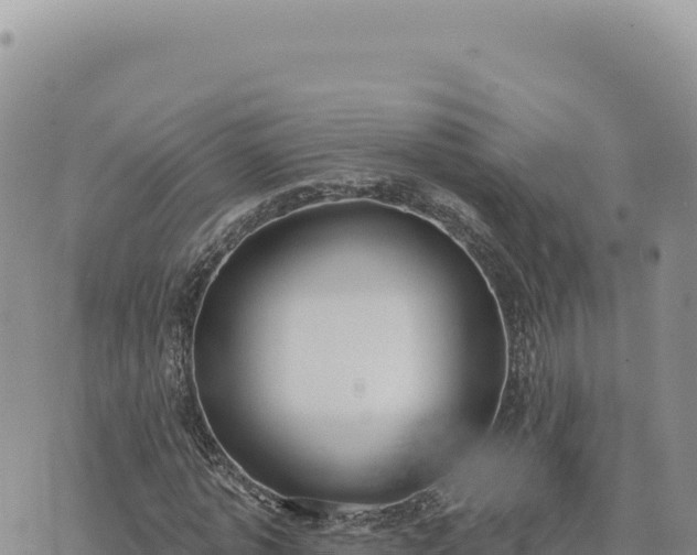 X0000073710773200608101838