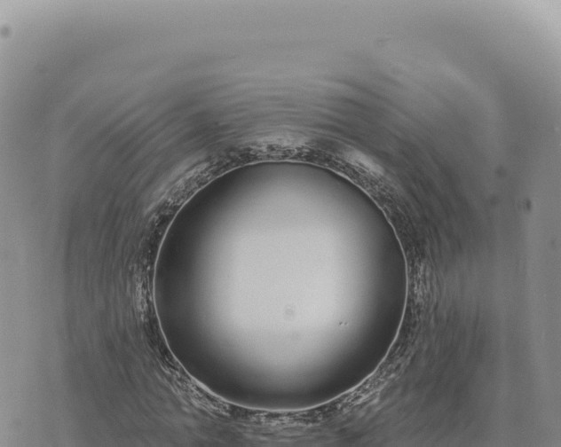 X0000073710774200608101838