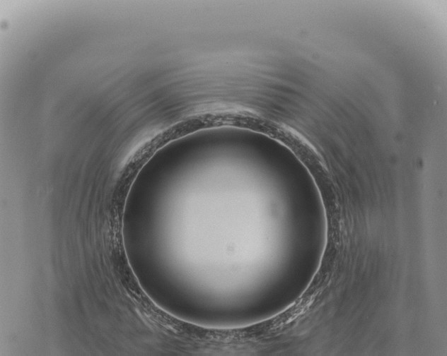 X0000073710775200608101838