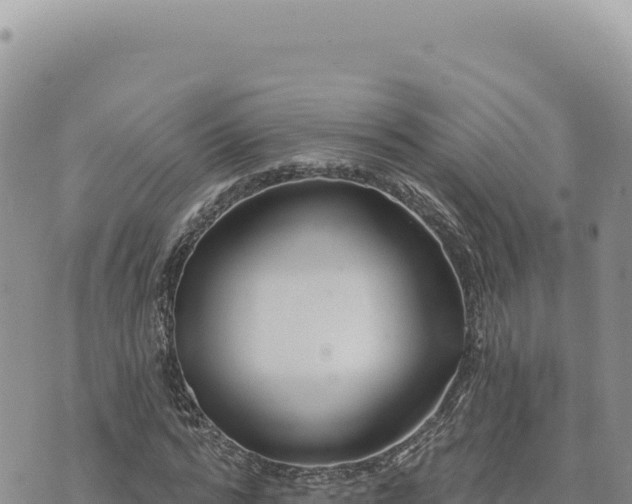 X0000073710776200608101838