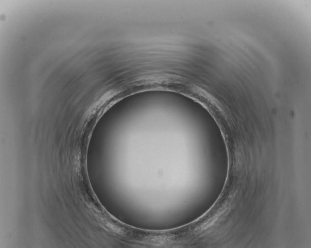 X0000073710778200608101838