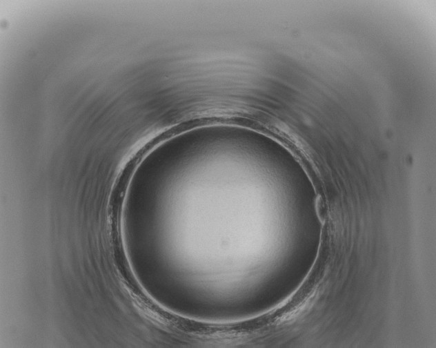 X0000073710779200608101838