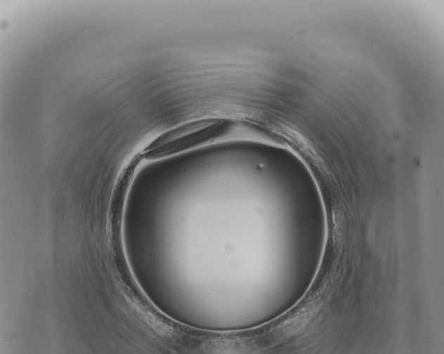 X0000073710780200608101838