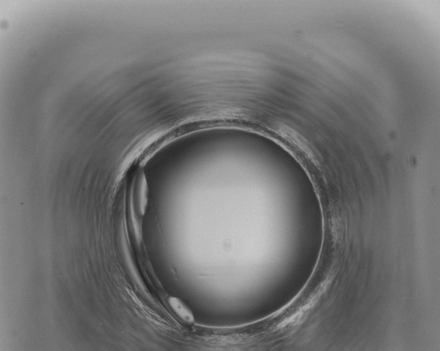 X0000073710781200608101838