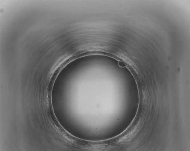 X0000073710782200608101838