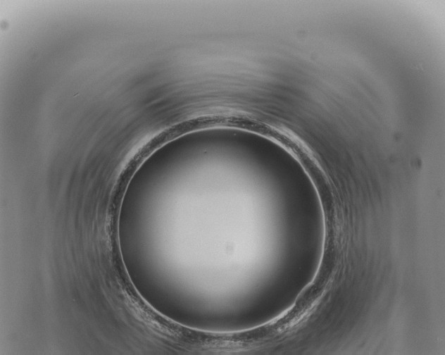 X0000073710783200608101838