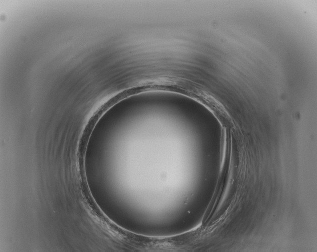 X0000073710784200608101838