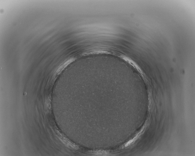 X0000073710785200608101838