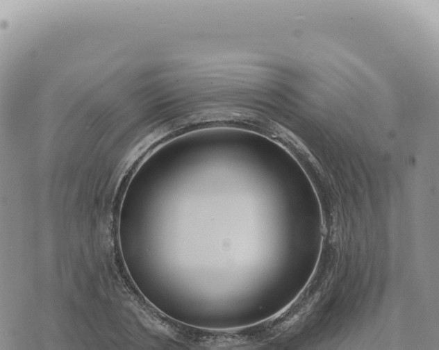 X0000073710786200608101838