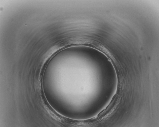 X0000073710787200608101838