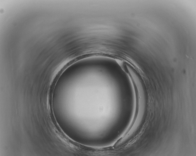 X0000073710788200608101838