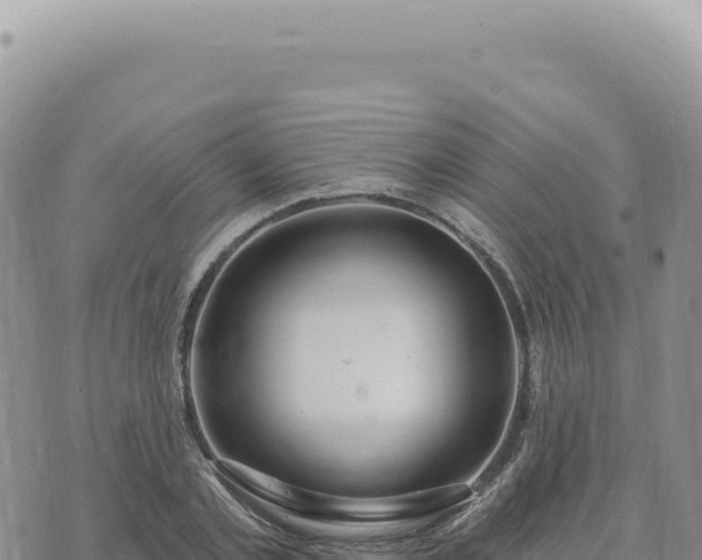 X0000073710789200608101838