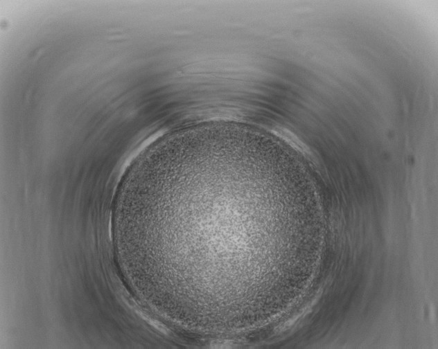 X0000073710790200608101838