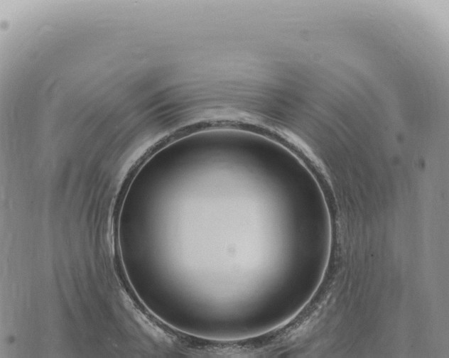 X0000073710791200608101838