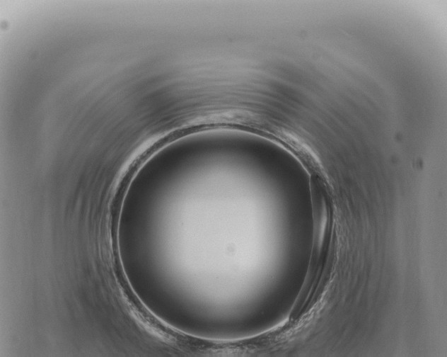 X0000073710792200608101838