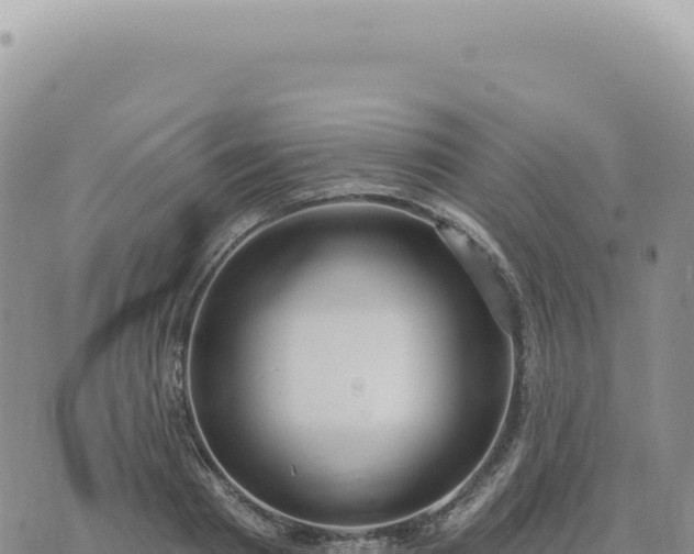 X0000073710793200608101838