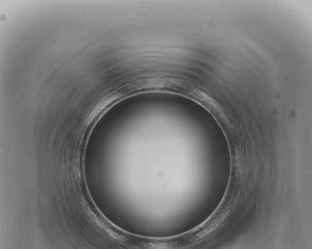 X0000073710794200608101837