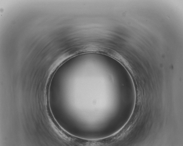 X0000073710795200608101837