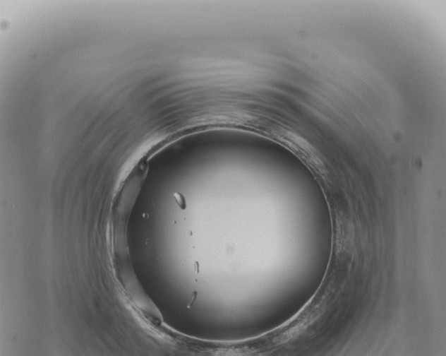 X0000073710796200608101837