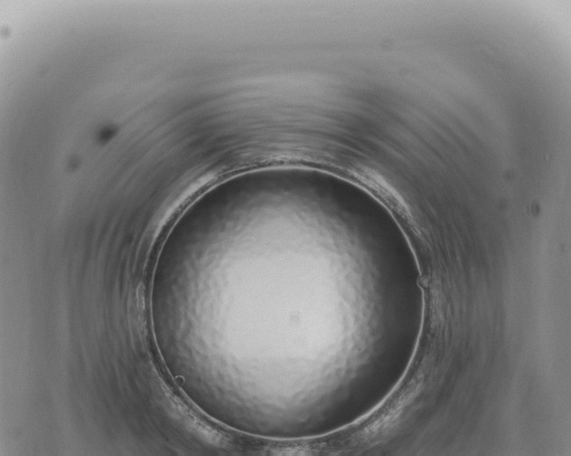 X0000073710798200608101837