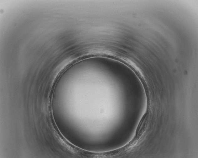 X0000073710799200608101837