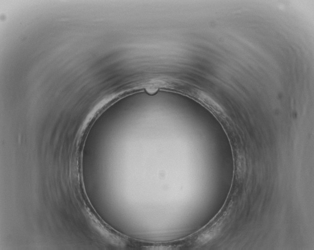 X0000073710800200608101837