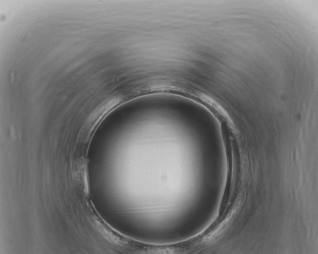 X0000073710801200608101837