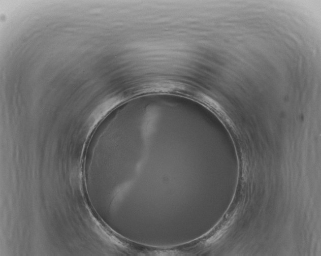 X0000073710802200608101837