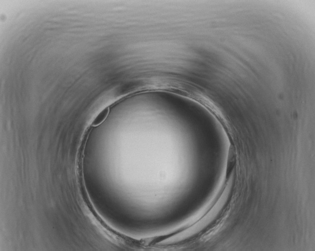 X0000073710803200608101837