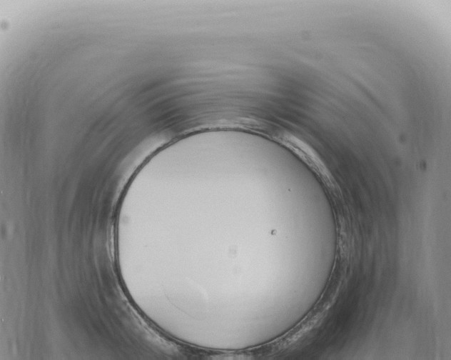 X0000073710804200608101837