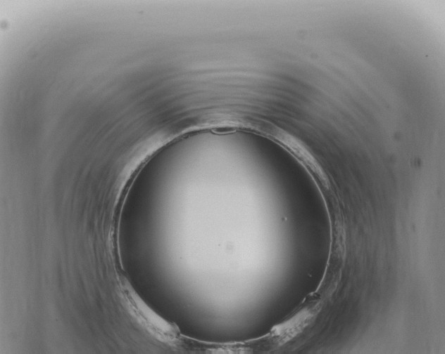 X0000073710805200608101837