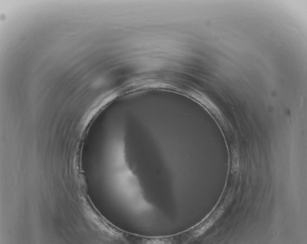 X0000073710806200608101837