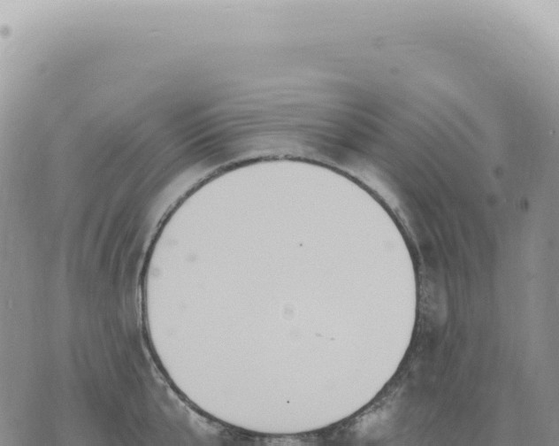 X0000073710807200608101837