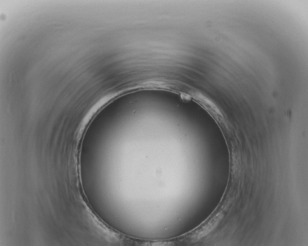 X0000073710808200608101837