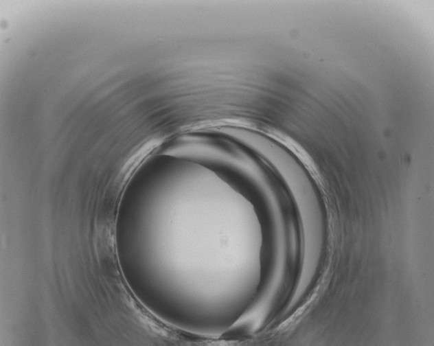 X0000073710809200608101837