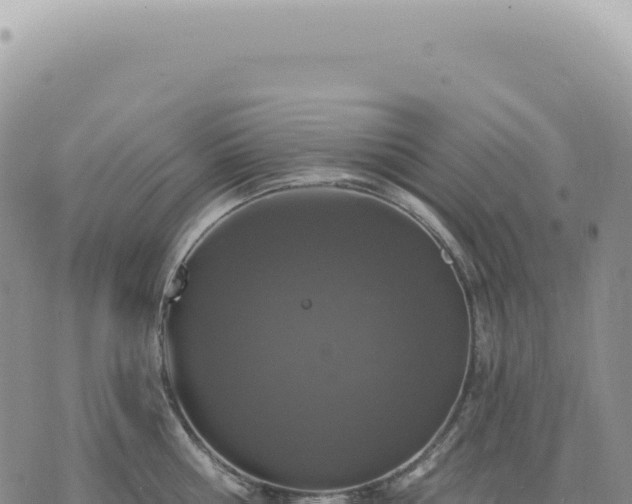 X0000073710810200608101837