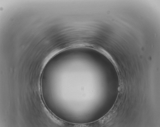 X0000073710811200608101837